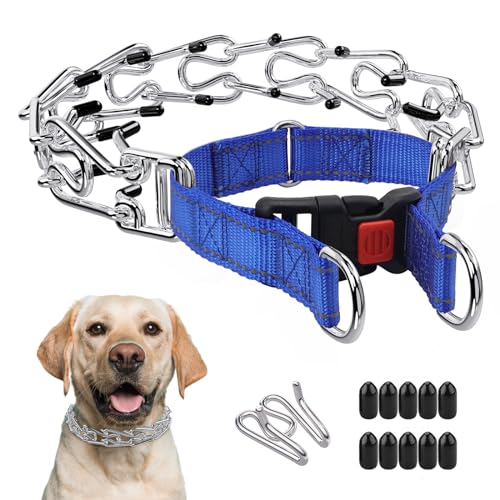 Marnonsis Dog Training Collar No Pull, Adjustable Dog Basic Collar for Small Medium Large Dogs with Quick Release Buckle,Extra Links, Safety Clip, Rubber Tips(Blue,M)
