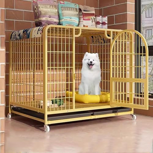 Chenil pour chiots et grands chats idéal pour sécuriser votre salon en couleur jaune