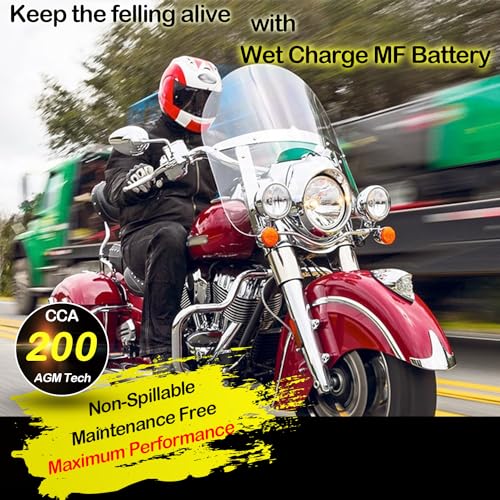 Weize YTX14-BS Motorcycle Battery Compatible thumb #3