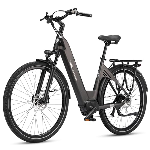 ttgo 28 Zoll E Bike Herren und Damen, Elektrofahrrad mit 250W Mittelmotor 36V 18AH Akku 9 Gang Getriebe 25 km/h, Reichweite 130–150 km Hydraulische Scheibenbremse, C7 SE (Titangrau)