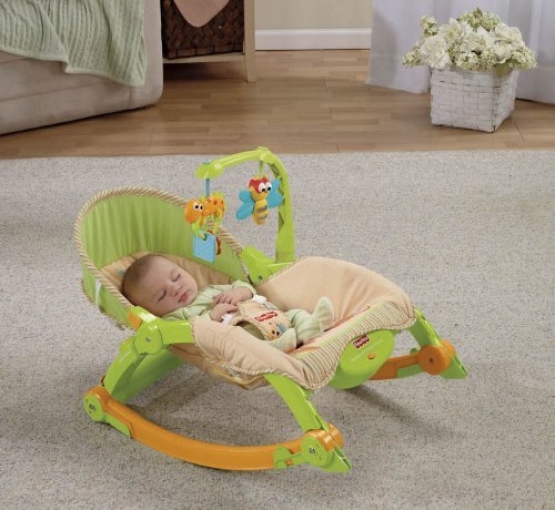 Newborn to Toddler Rocker