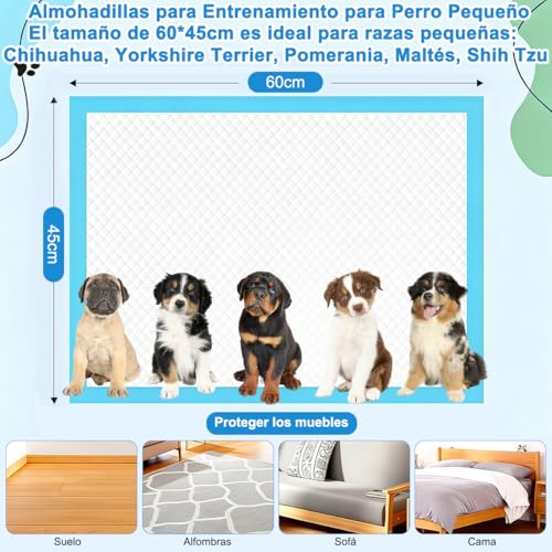 Accesorios para pistola PIPI 23 Imagen adicional