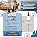 L-Lysine Supplement for Cats - Vitamins & Taurine for Immune Support & Allergy Relief - Lysine for Respiratory, Sneezing, Runny Nose, Eye Function - Natural Cat Antibiotic Drops - 60ML Slamon Flavor