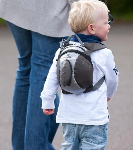 boy little life backpack
