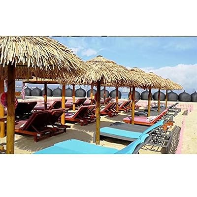 Artificial Thatch Tile, Simulation Thatch Plastic Thatch Anti-Rot Flame Retardant Gazebo Decoration Fake Thatch, 5 Colors (Color : B-6pcs, Size : 50x50cm)