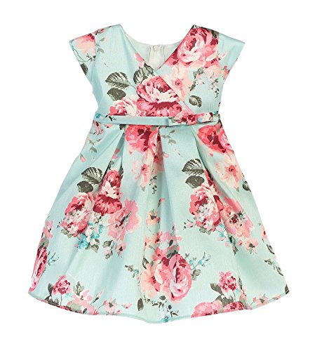 Sweet Kids Floral Print Shantung Baby Girls' Special Occasion Dress, 6M, Mint