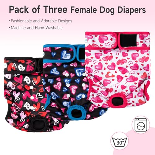 Image of Paw Legend Washable Reusable Female Dog Period Diapers for Heat Doggie Puppy Diapers for Female Dogs (3 Pack,X-Small)