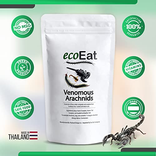 ecoEat Edible Arachnids (3 Insects) - Chinese Centipede, Black Asian Forest Scorpion and Armor Tail Scorpion - Edible Insects - Image 5