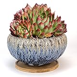 Summer Impressions 8 Inch Natural Cracking Round Ceramic Succulent Planter Pot with Drainge Hole and