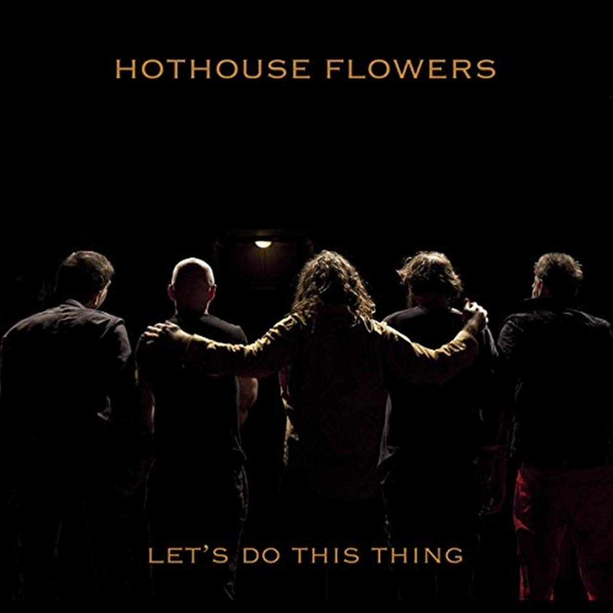 ◾️レア曲収録プロモ限定盤■HOTHOUSE FLOWERS / ホットハウスフラ Hothouse Flowers*ホットハウス・フラワーズ*レコード2枚セット