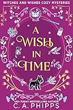 Cover zum Buch A Wish in Time