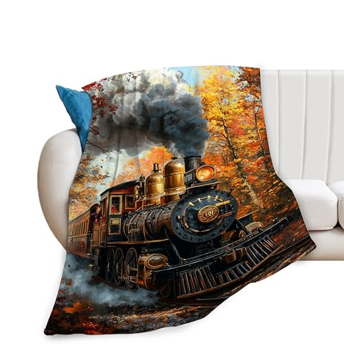 Rylane Train Blanket Train Decor Throw Blankets Gifts for Men Boys Girls Women Lover Adult Cozy Fleece Flannel Bedding Stuff Plush for Couch Sofa Bed Decor 50X40