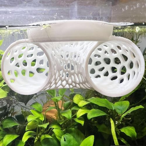 Image of Floating Betta Tunnel for Betta Training. Interactive Training & Enrichment Toy for Betta Fish - Stress Relief & Exercise Accessory, Floating Betta Fish Toys