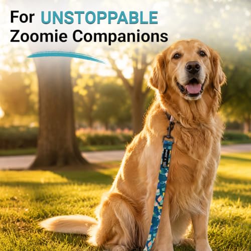 Image of Bowlers Dog Leash for Small, Medium & Large Dogs | Blue & Green Design | Durable Nylon Pet Walking Lead | Strong Metal Hook | Comfortable Grip