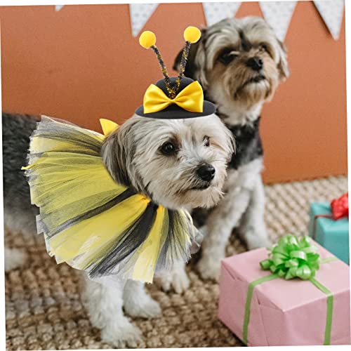 Disfraz abeja para perro con falda y gorro Halloween miniatura 6