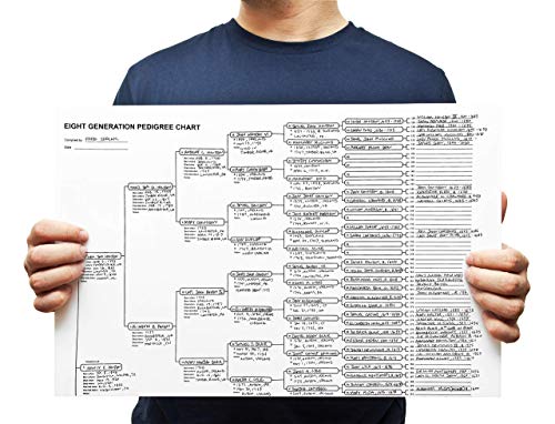 Easygenie 173231 10 Blank Pedigree Charts thumb #6
