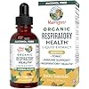 MaryRuth Organics USDA Organic Respiratory Health Liquid Drops with Mullein Leaf | Marshmallow Root & Elderberry | Mullein Drops for Lungs Herbal Blend | Immune Support Supplement | Vegan | 1 Fl Oz