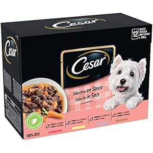Cesar Mahlzeit für Hunde Frischebeutel, 48 Stück