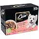Cesar Hundefutter Mahlzeit 48 Frischebeutel Packung