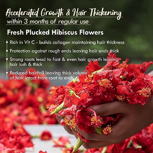 Nat Habit Fresh Ready-To-Apply Henna Paste & Five Oil Hibiscus Hair NutriMask - The Ideal Combo For Deep Conditioning Hair With Rich Dark Brown... - Image 5