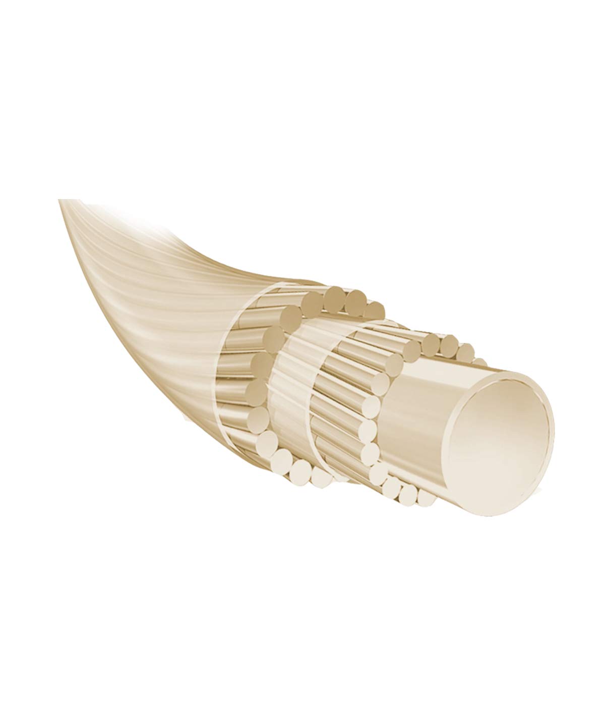 Amazon | バボラ (Babolat) テニス用ストリング SYNGUT FORCE