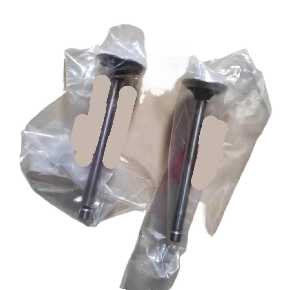 Engine Intake Valves Fit For EH12