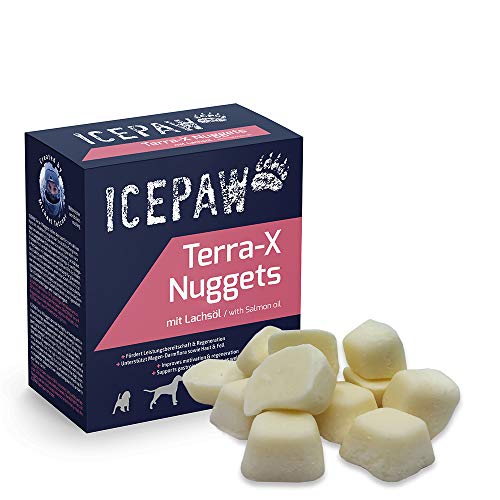 ICEPAW Terra-X Nuggets I 40 Stück (ca. 265 g) I Energie Snack I schnelle Energie I für sportlich sehr aktive Hunde