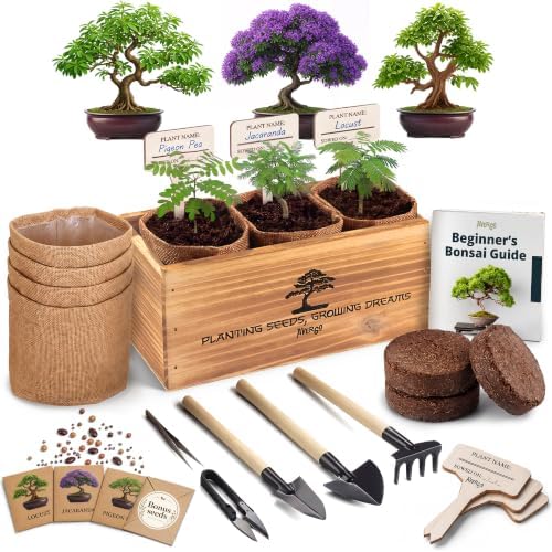 Bonsai Tree Kit Classic – Growing 3 Unique Japanese Bonzai Trees