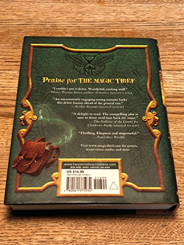 Found (The Magic Thief) view 2