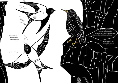 The Starling's Song - Image 3