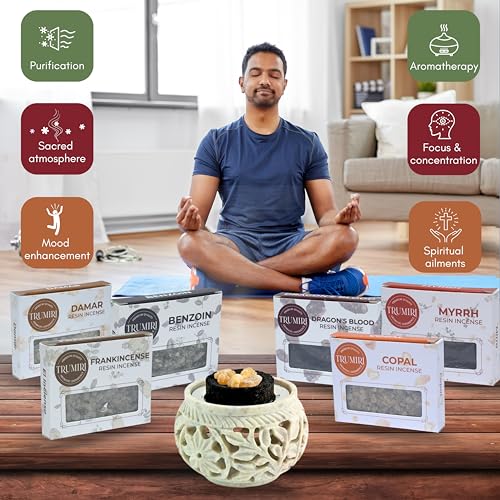 Resin-Incense-Natural-Tree-Gum-Sap-6x30g-Variety-Pack-Including-Frankincense-and-Myrrh-Copal-Benzoin-Dragons-Blood-Damar