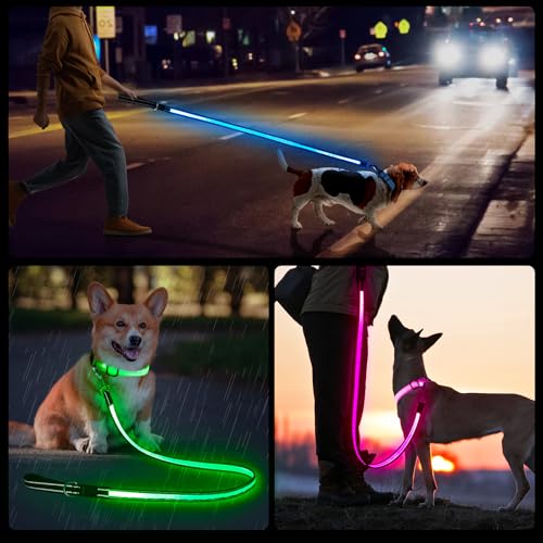 PZRLit Mehrfarbige 1.2 m LED Hundeleine–Leuchtend & Reflektierend,7 Modi Glühen im Dunkeln, Beidseitig USB-C Wiederaufladbar mit Akkuanzeige Wasserdicht Für Kleine Mittel Große Hunde, Nachtsicherheit