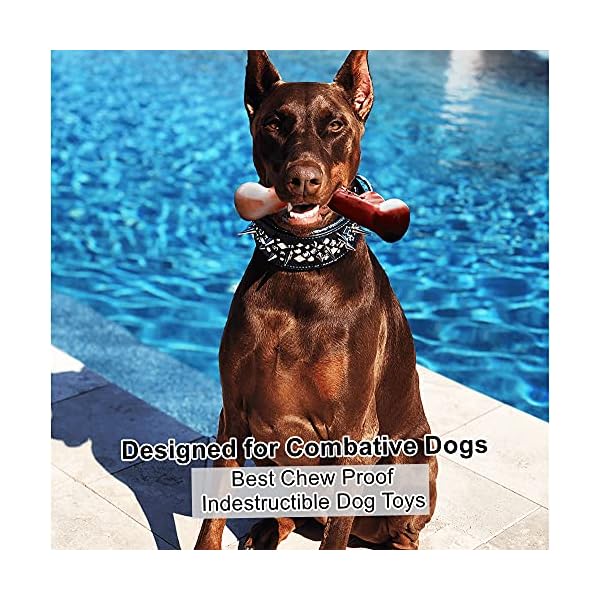 Dog Chew Toys for Aggressive Chewers , Food Grade Durable Dog Chew Nylon Toy, Big Indestructible Dog Toy, Medium Puppy Teething Wishbone Toys Dog Chew Toys for Aggressive Chewers , Food Grade Durable Dog Chew Nylon Toy, Big Indestructible Dog Toy, Medium Puppy Teething Wishbone Toys