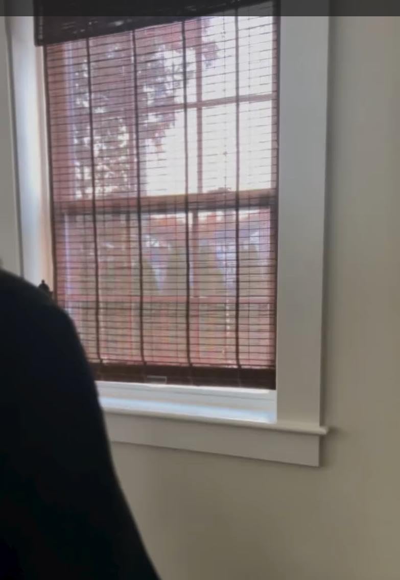 LUSTROWIN No Drill Custom Bamboo Roman Shades - Cordless Light Filtering/Blackout Window Blinds with Valance | Privacy & Light Control | 20-96" Sizes | Medium Brown