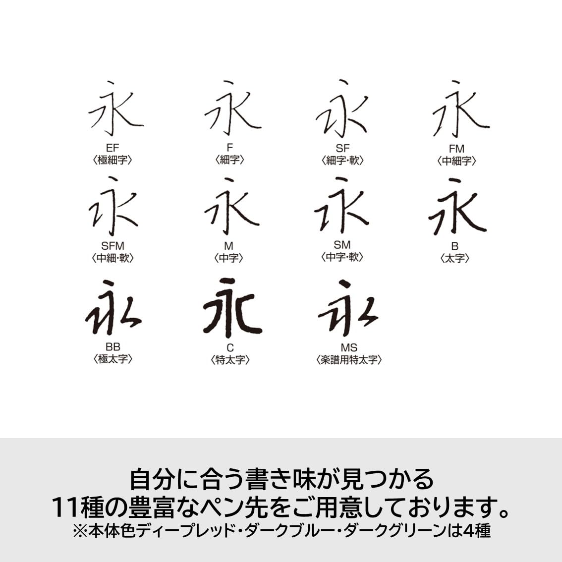 Amazon | PILOT 万年筆 カスタム74 M ミディアム(中字) ダークブルー