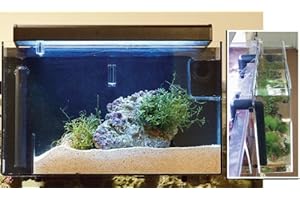 AquaFuge 2 Large Refugium For Keeping Your Reef and Saltwater Aquarium Clean
