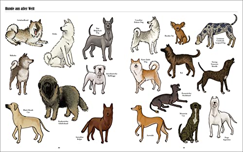 Große Hunde, kleine Hunde: Alle Hunde dieser Welt. Über 250 Hunderassen aus aller Welt