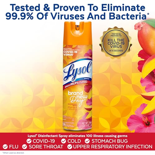 image for Lysol Disinfectant Spray, Sanitizing and Antibacterial Spray, For Disi
