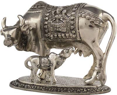 Aapkidukan Cow with Calf Showpiece in White Metal Kamadhenu Gow MATA Statue