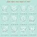 Imagen de cotigo Collar Signo Zodiaco Acero Inoxidable