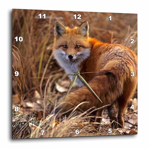 Best Jefferson Clocks
