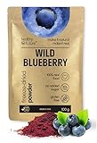 Healthy Future Jamo Wild Blueberry Powder Freeze Dried Food Perfect for Muffins Porridge Smoothies Cakes Natural Superfood No Added Sugar No Preservatives GMO-Free Gluten-Free 100 g