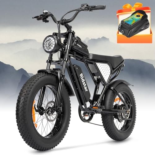 ELTRBIK Electric Bike for Adults Men, 1000W-1500W Motor 30MPH, Up to 55-70 Miles, 48V 15-20 Ah Battery, Electric Mountain Dirt Bike with Full Suspension, 20″ Fat Tire Off Road Electric Motorcycle