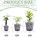 Vesici 12 Pcs 5/7/9 Inch Large Size Clear Nursery Pots Variety Pack Plant Pots with Drainage Holes Planters for Indoor Plants Flexible Transparent Plastic Plant Bottle Succulents