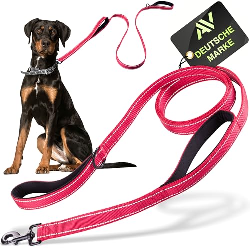 AVANA Hundeleine mit integriertem Kurzführer reflektierende Leine | 2 handschonende gepolsterte Handschlaufen | 1,5 Meter Führleine für große und mittelgroße Hunde - Rot