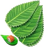 Ils peuvent être utilisés pour décorer vos plats assiettes, vous donner de bonne humeur lorsque vous mangez.