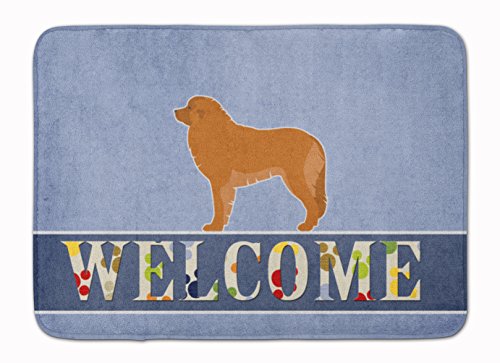Caroline's Treasures BB5562RUG Leonberger Welcome Machine Washable Memory Foam Mat, Bathroom Rug, Non-Slip Bath Mat, Durable Thick Washable Rugs for Kitchen, Bathroom Quick Dry, Decorative Artwork,