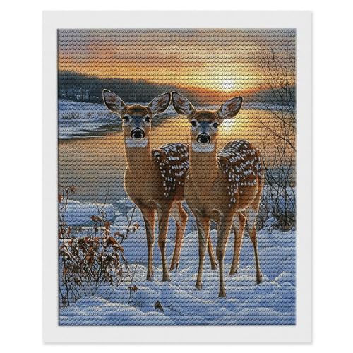 Peinture diamant cerf de neige 50x70 cm, le cadeau créatif idéal