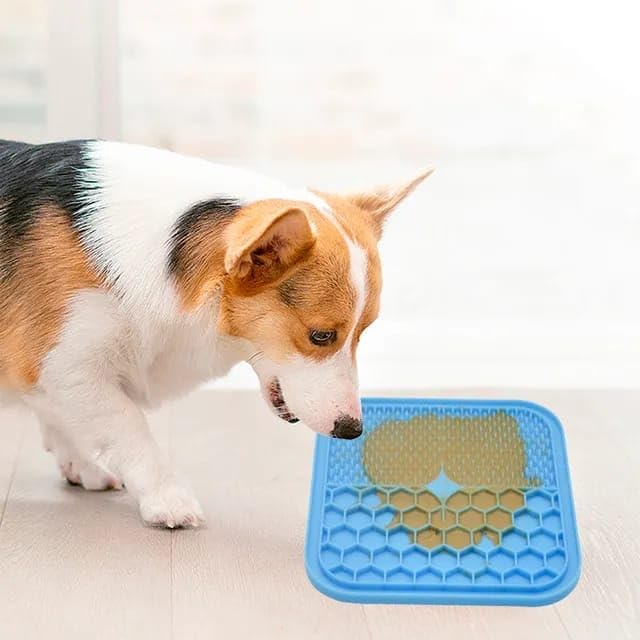 GOPAD Licking Mat for Dogs and Cats, Premium Silicone with Suction Dog Lick Pad Mat, Pet Supplies, Dog Supplies, Dishes, Feeders & Fountains (1 Pcs/Multicolor) (B0CHYWHFJT) Amazon Price History, Amazon Price Tracker