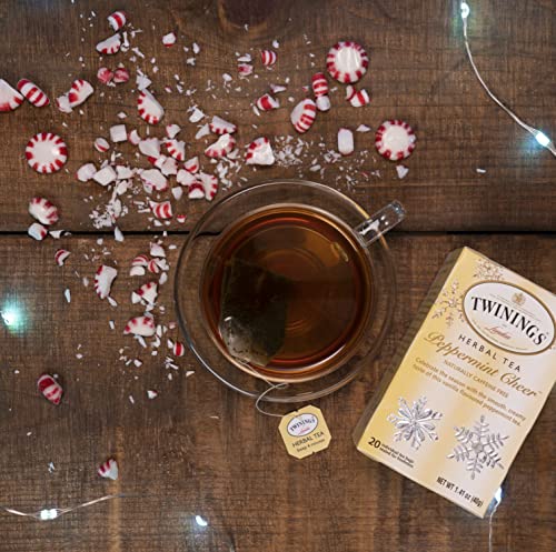 By The Cup Twinings Black & Herbal Seasonal Tea Bag Collection With By The Cup Honey Sticks, 4 Winter Flavors, 48 Tea Bags #TOP4